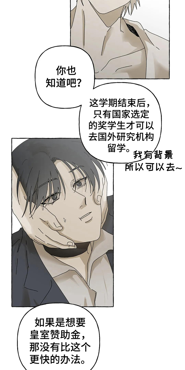9.jpg