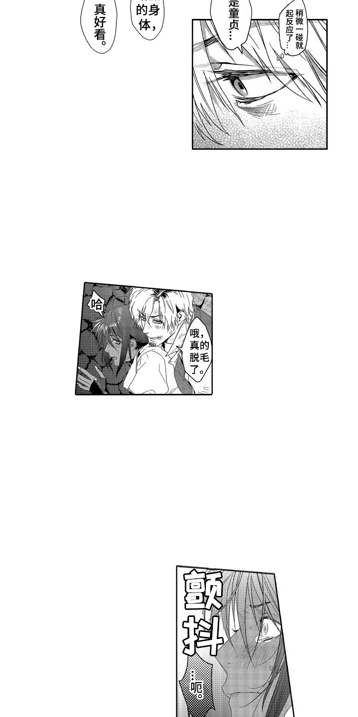 14.jpg