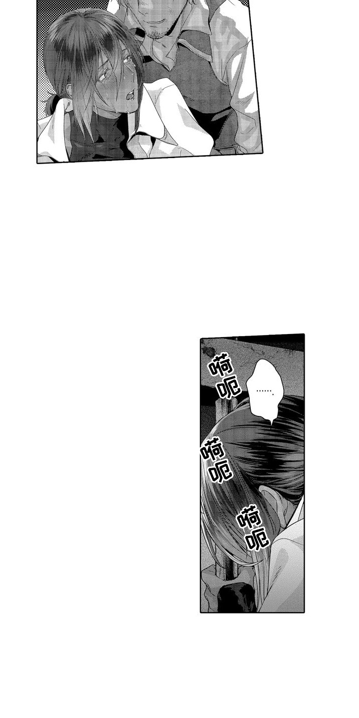 11.jpg