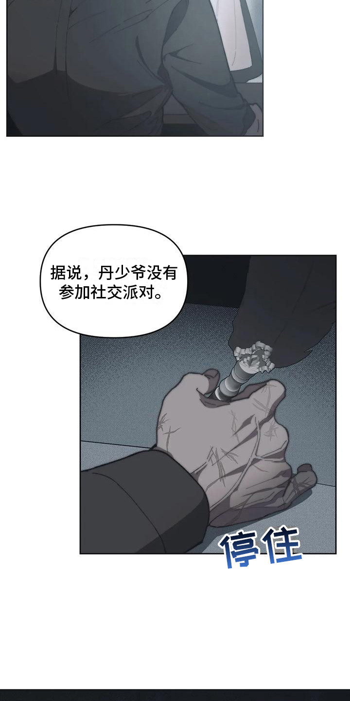 10.jpg