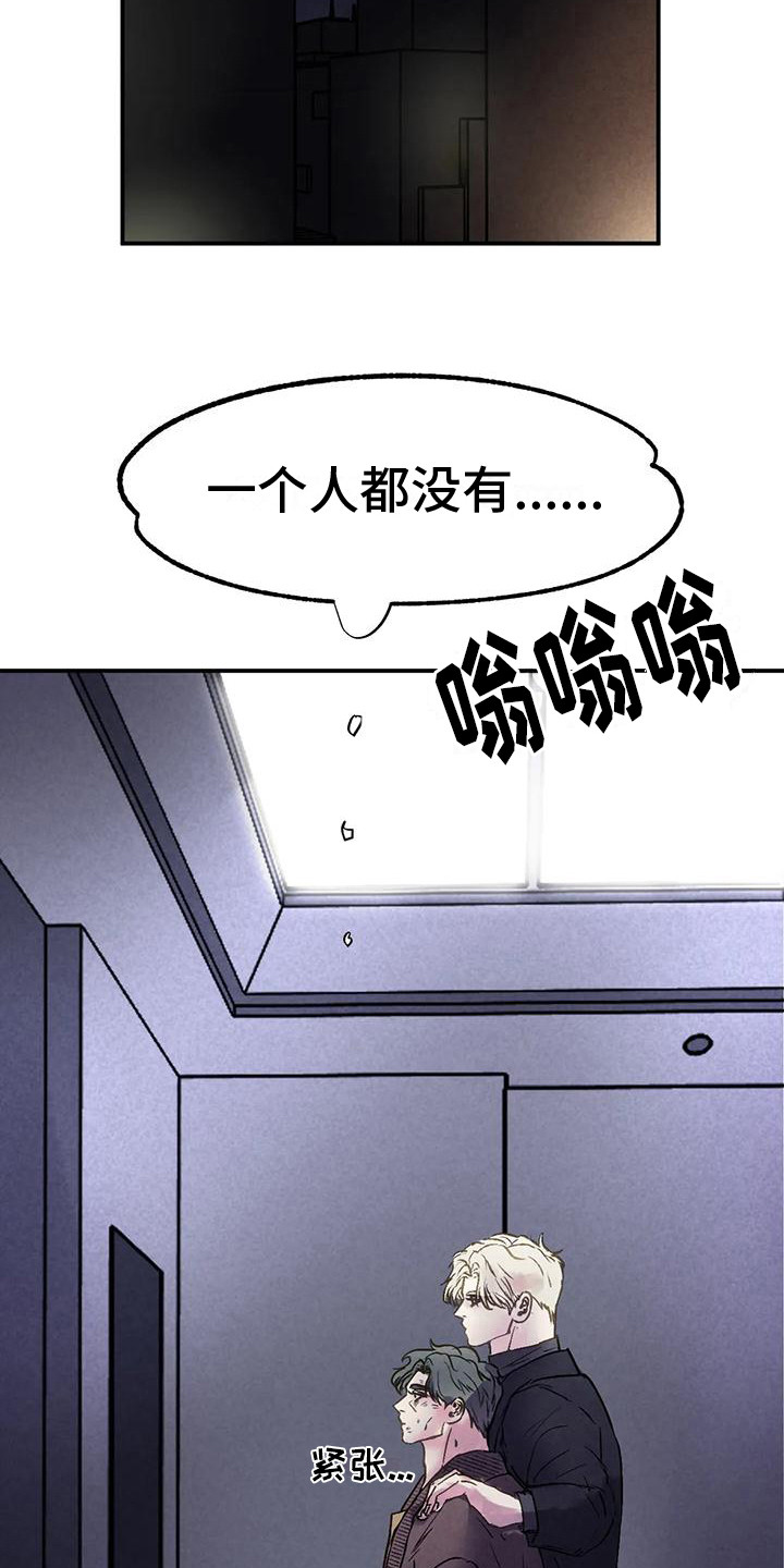13.jpg