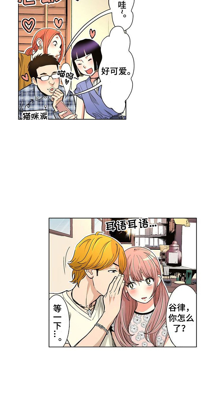 15.jpg