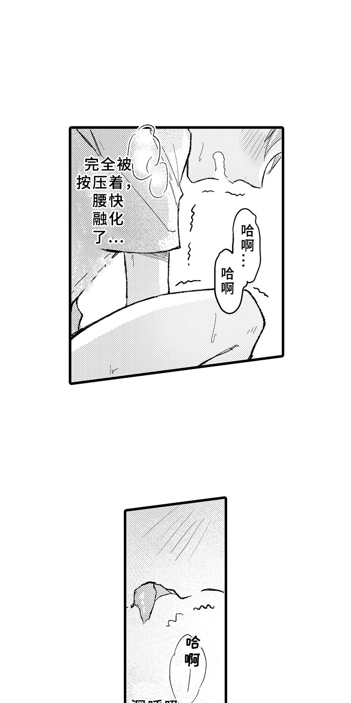 15.jpg