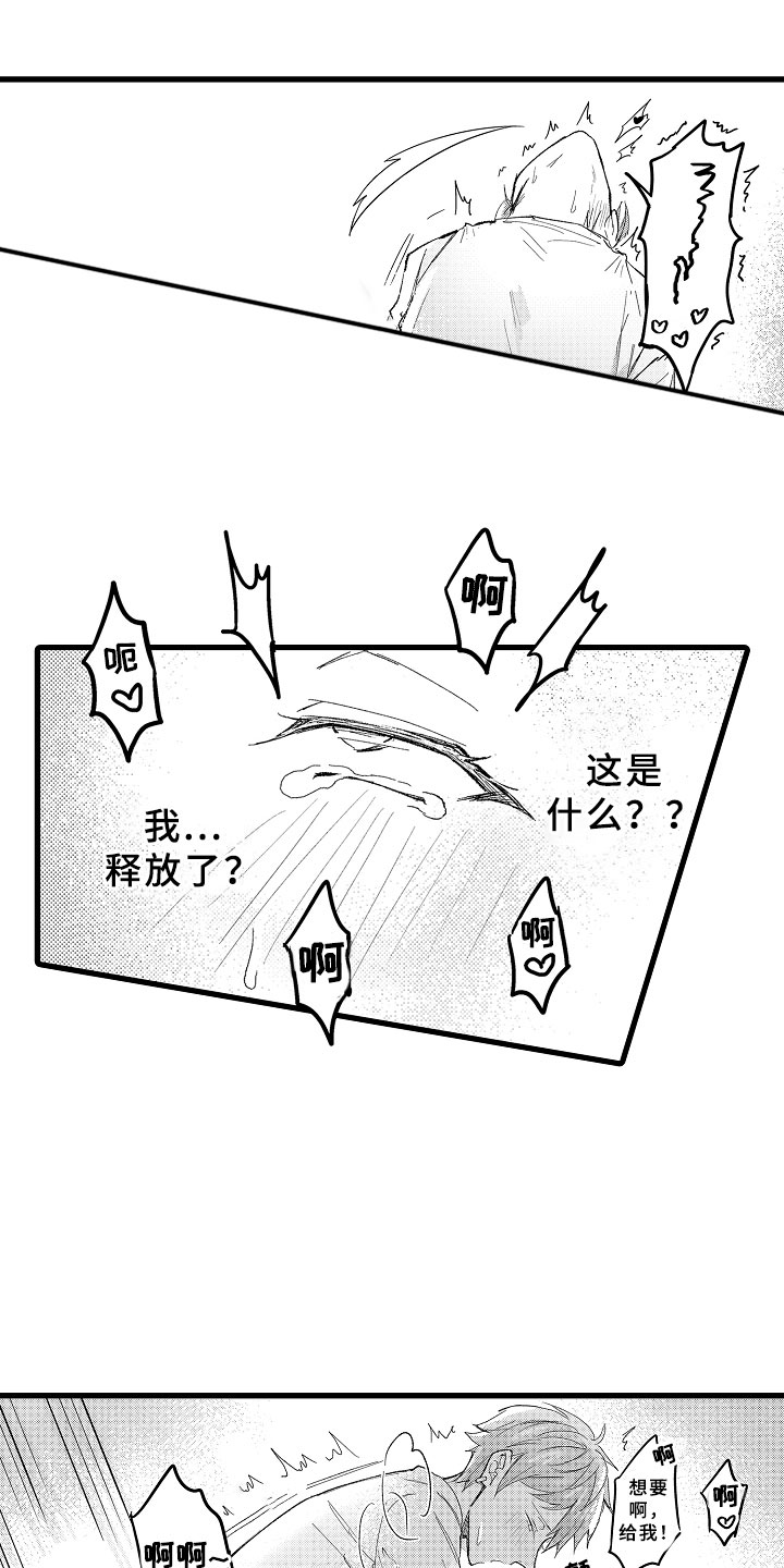 17.jpg