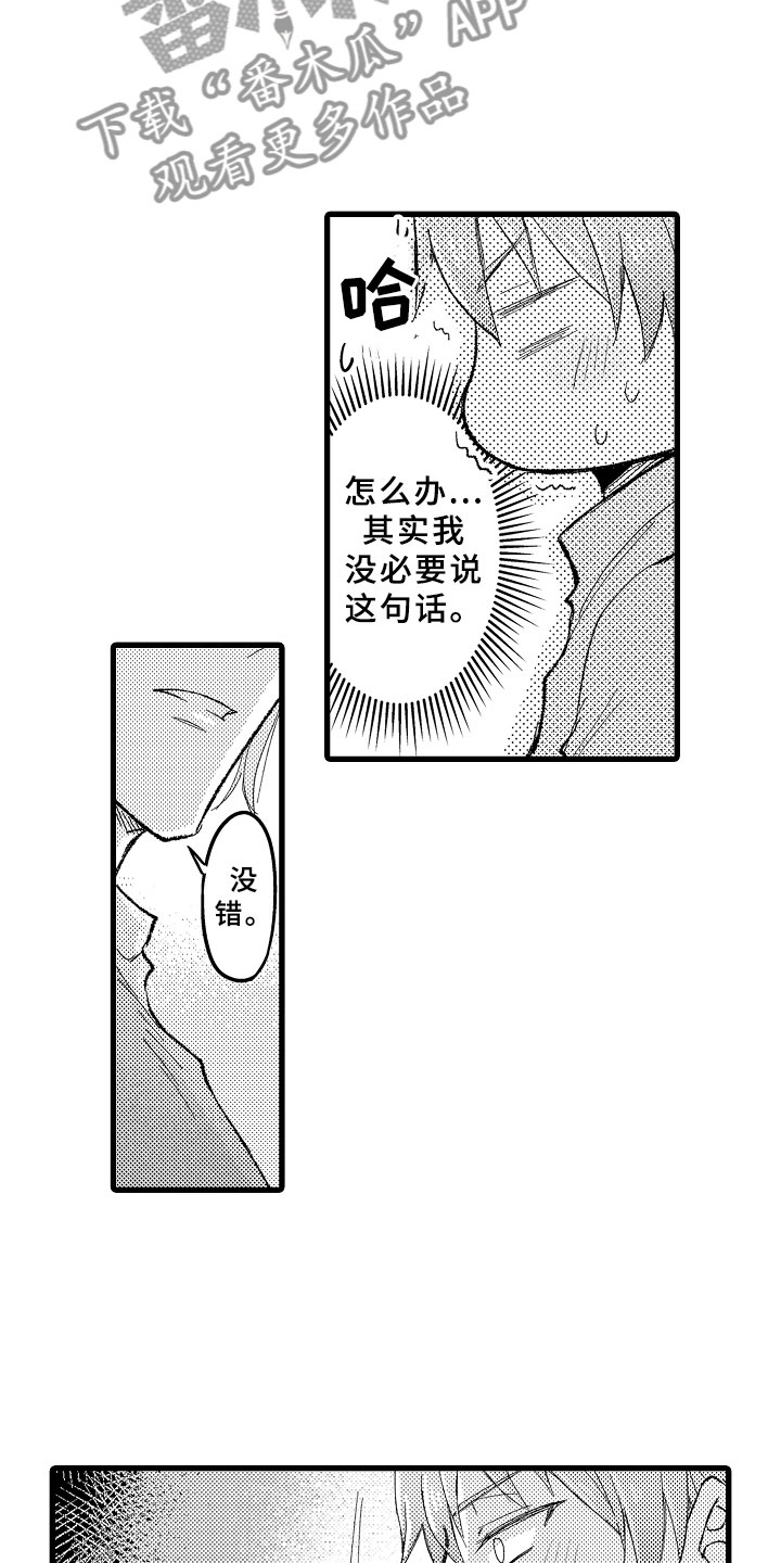 11.jpg