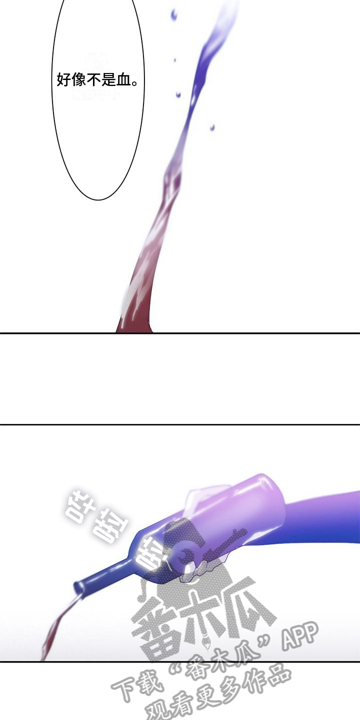 17.jpg