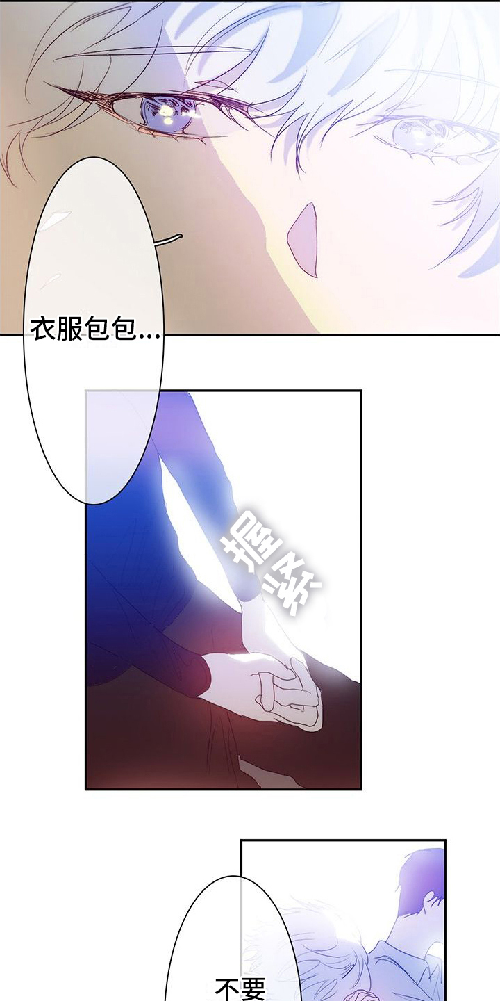 11.jpg