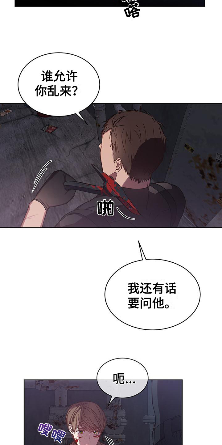 20.jpg