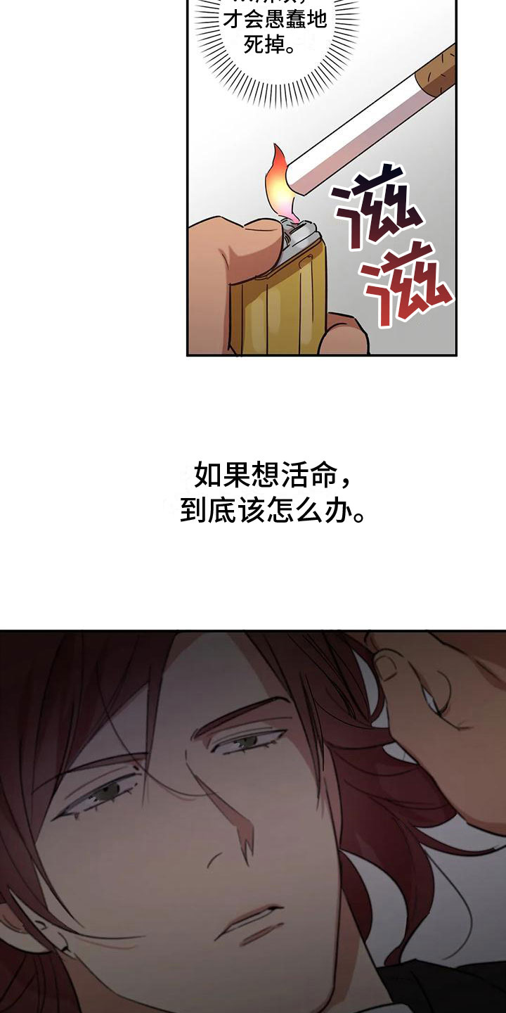 22.jpg