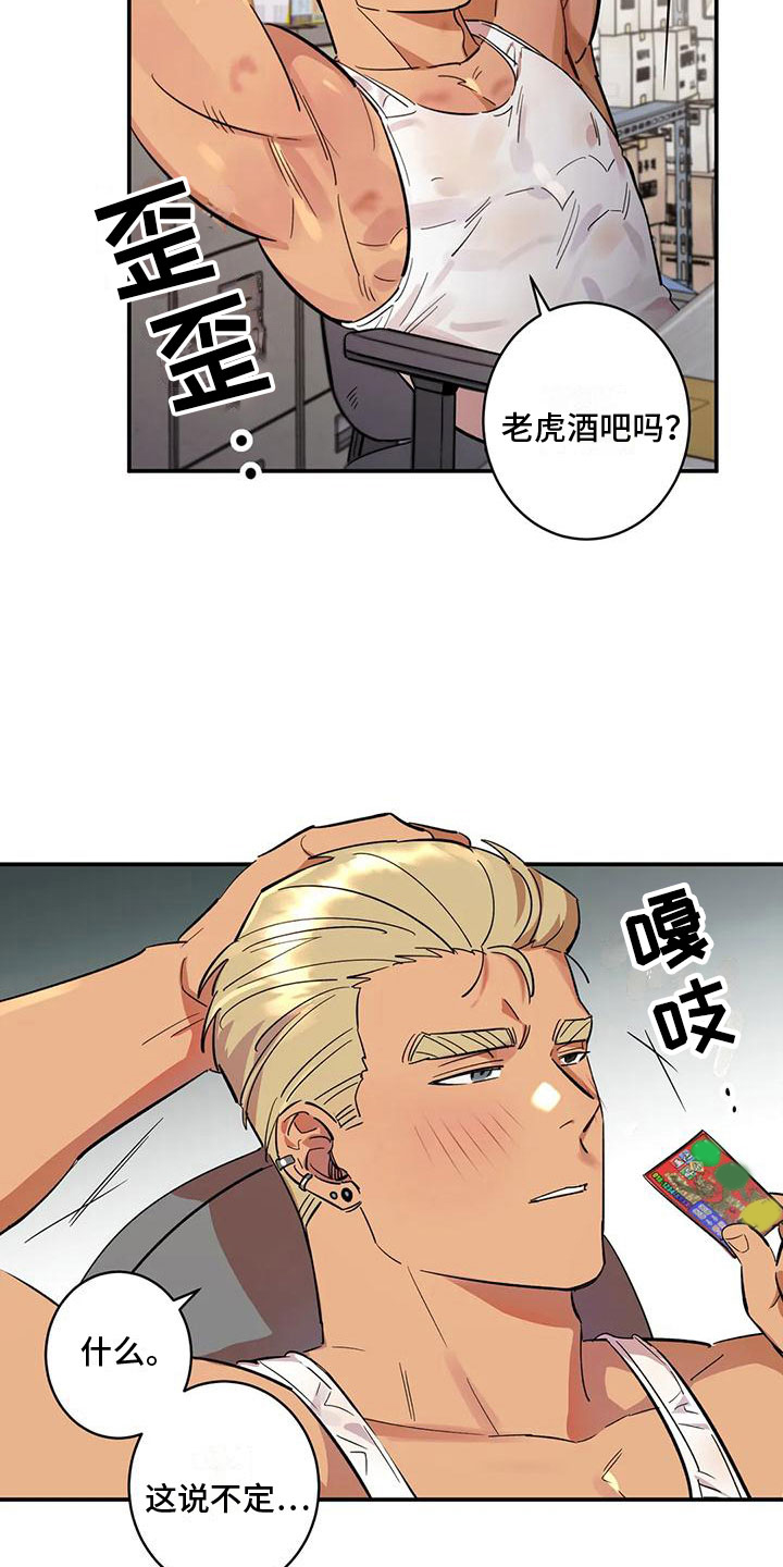 6.jpg