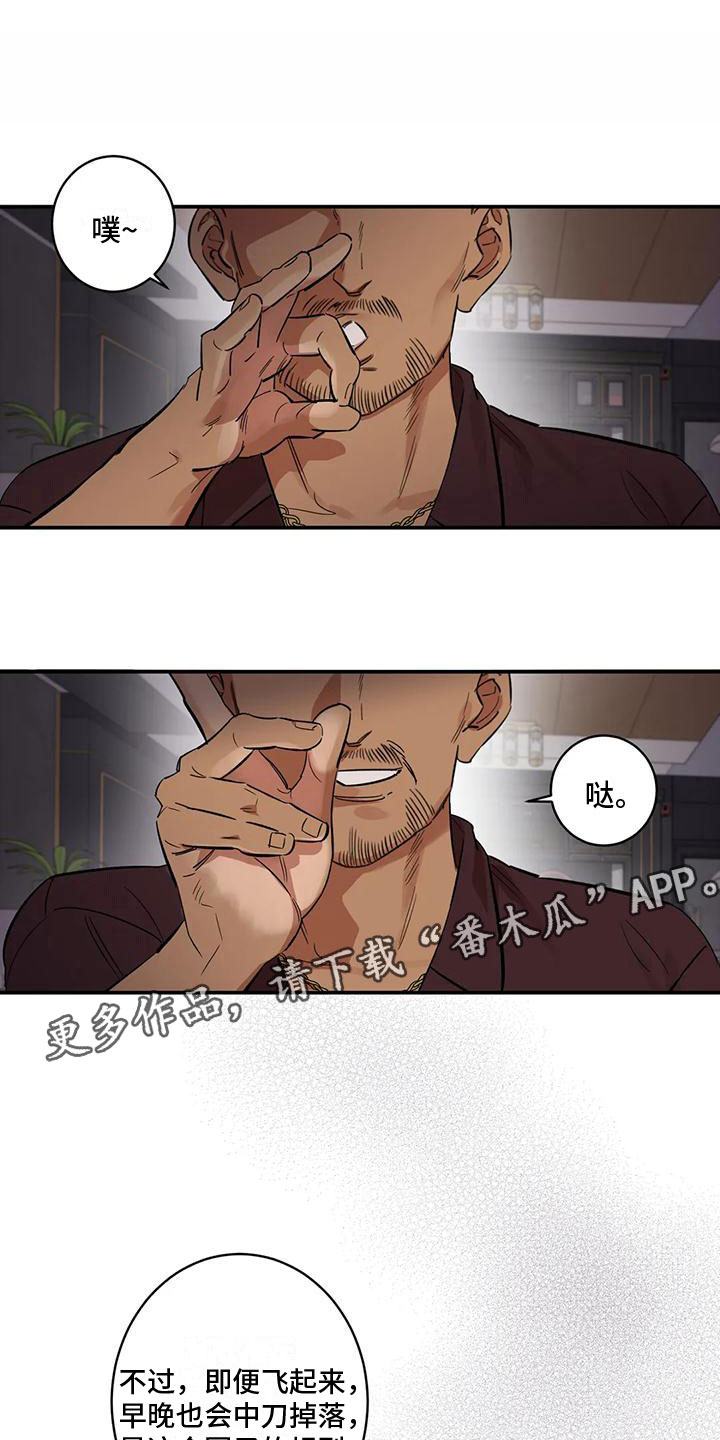 23.jpg