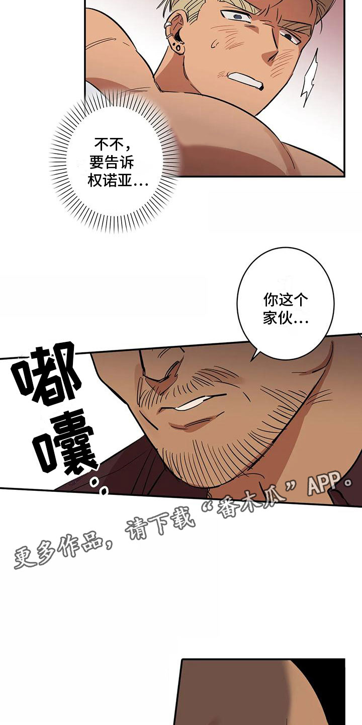 19.jpg