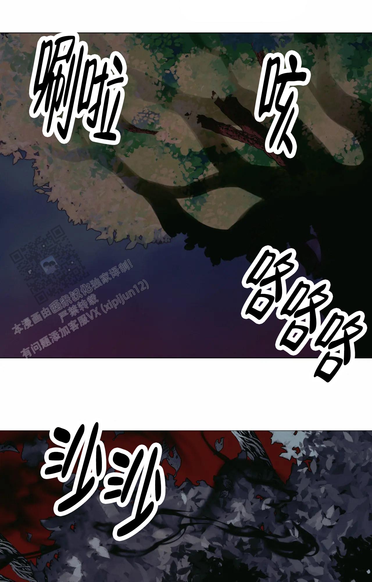 23.jpg