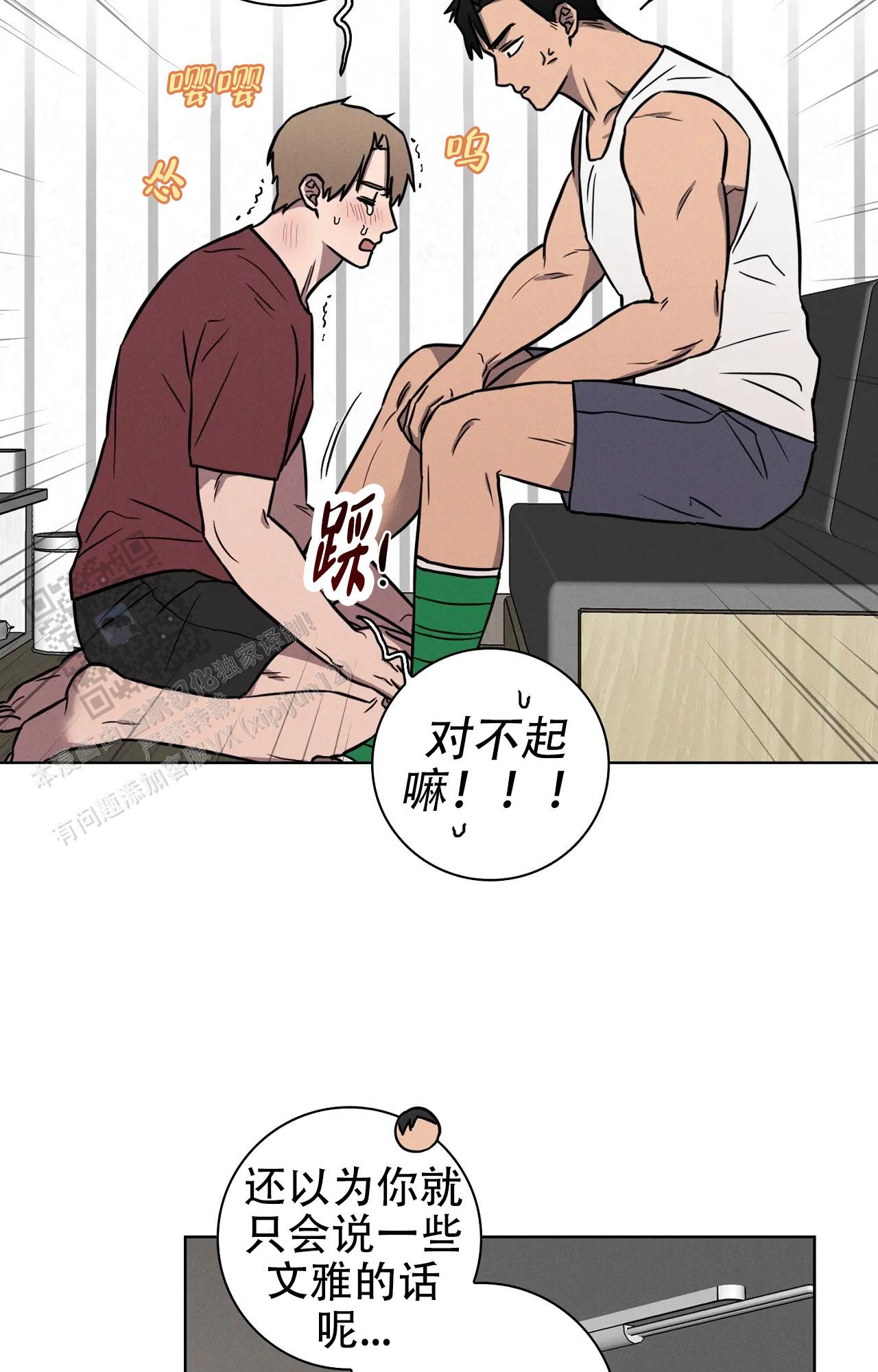 16.jpg