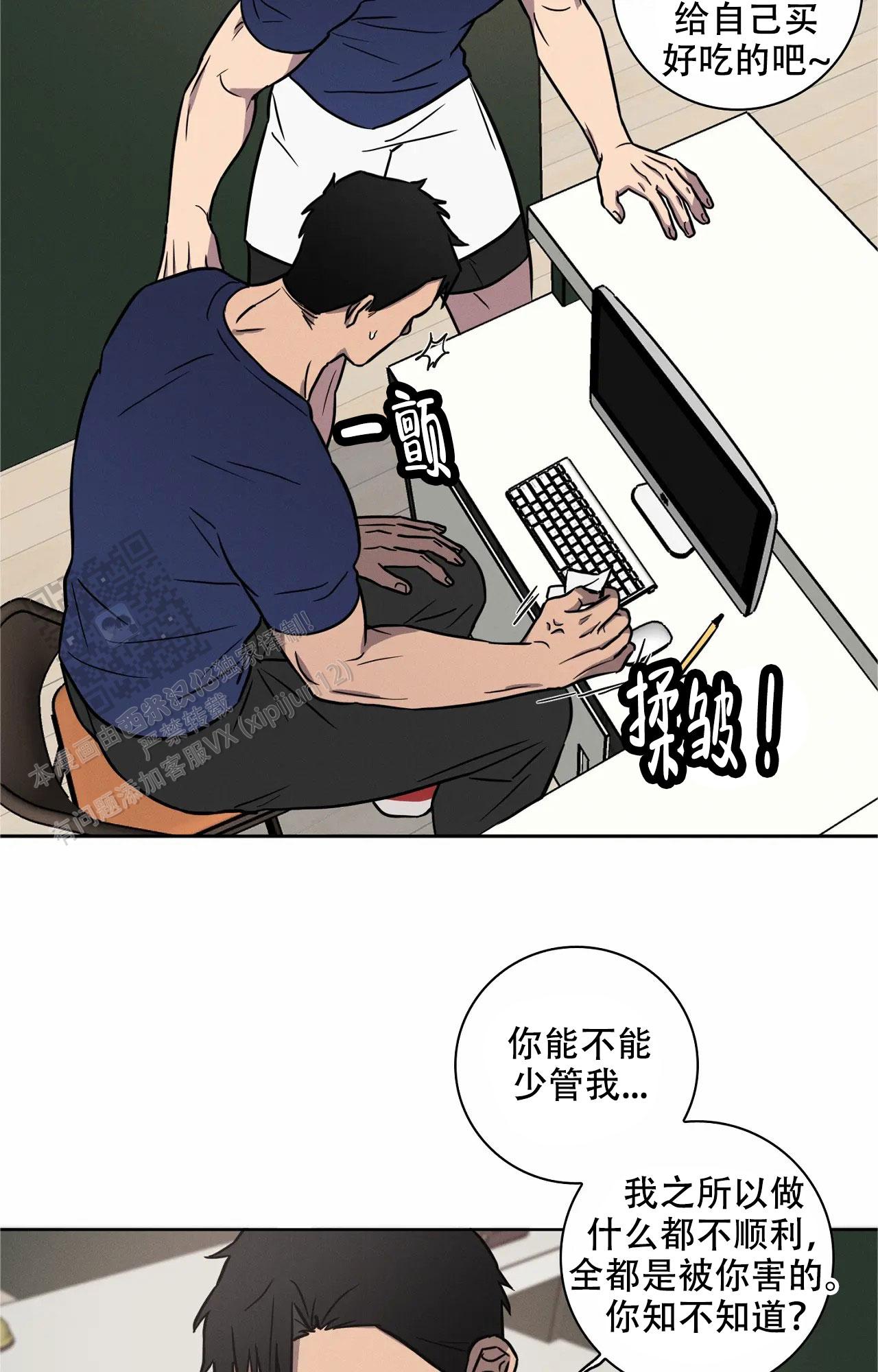13.jpg