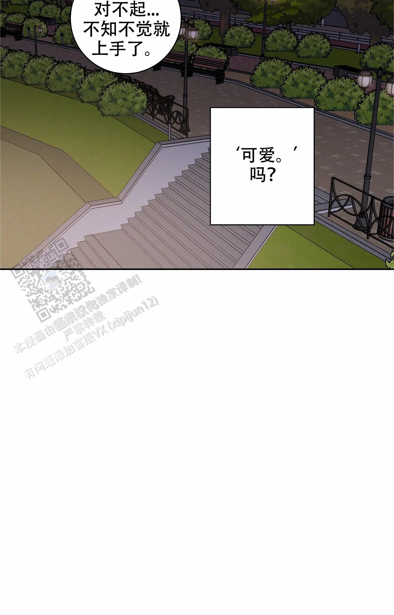 27.jpg