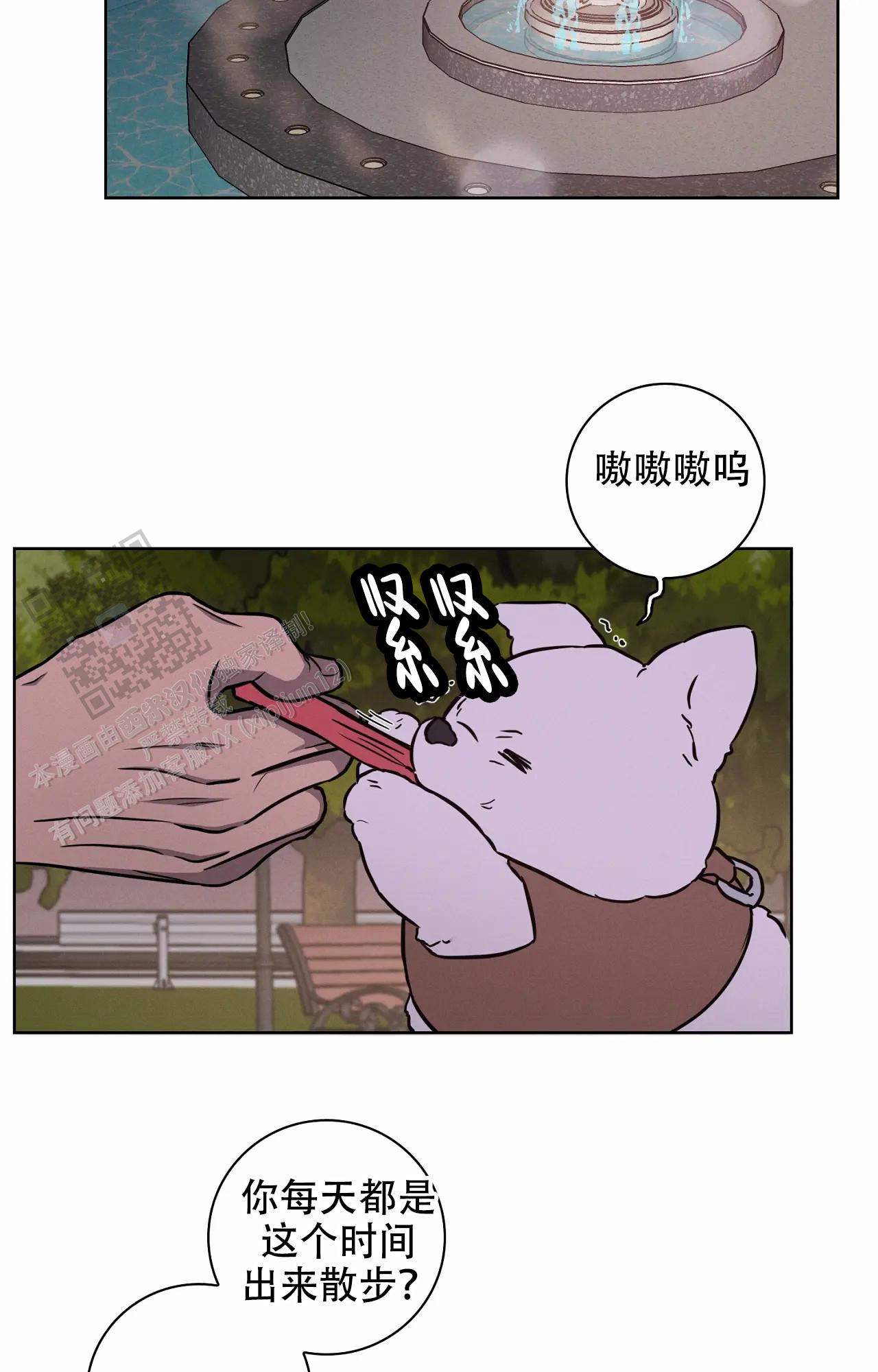 15.jpg