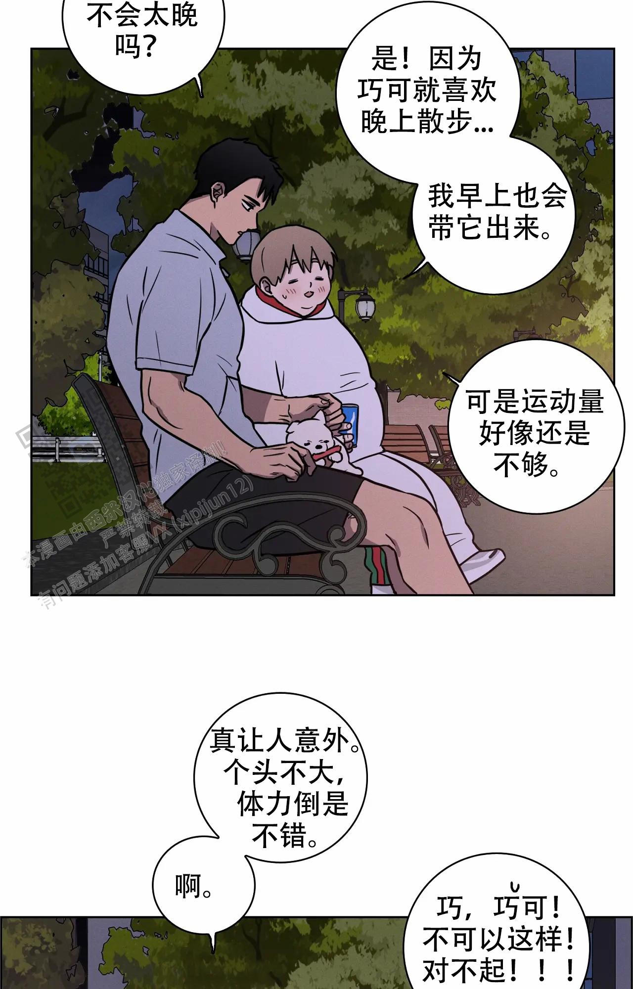 16.jpg