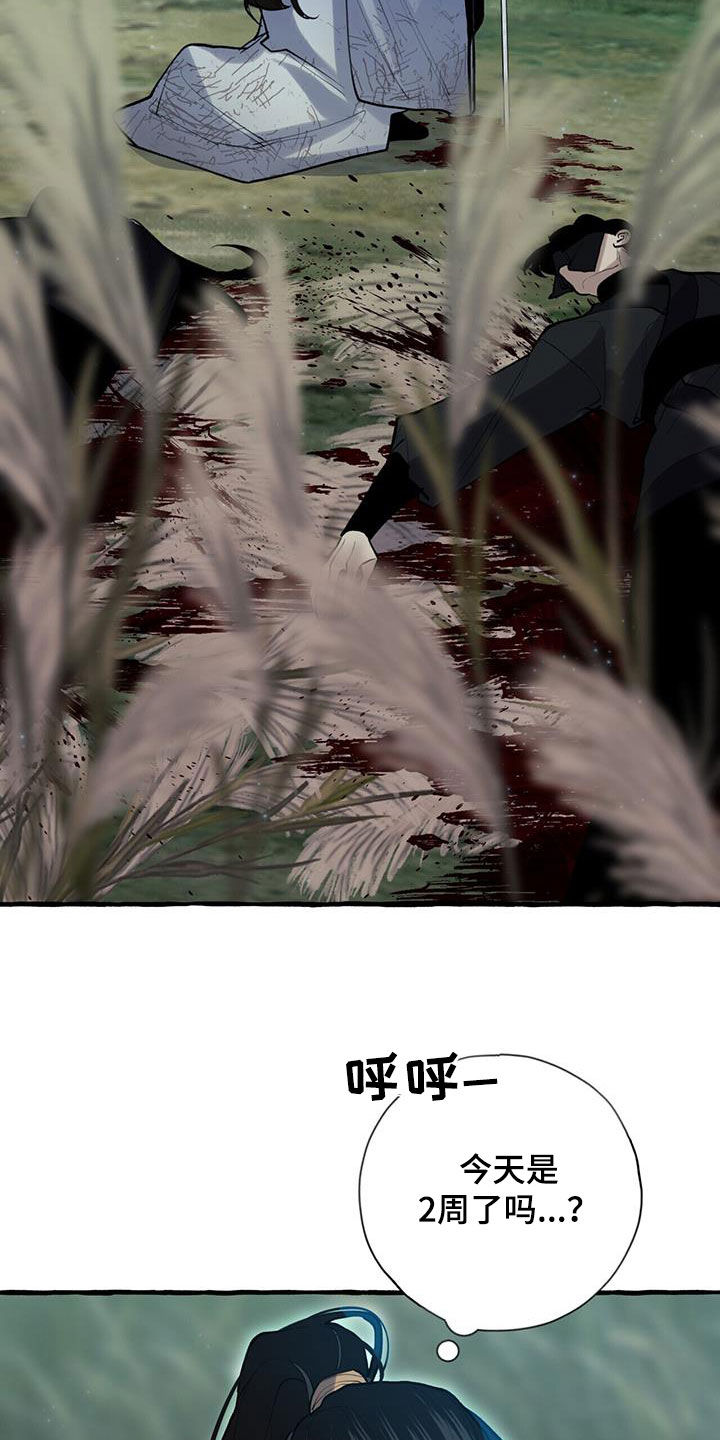 19.jpg
