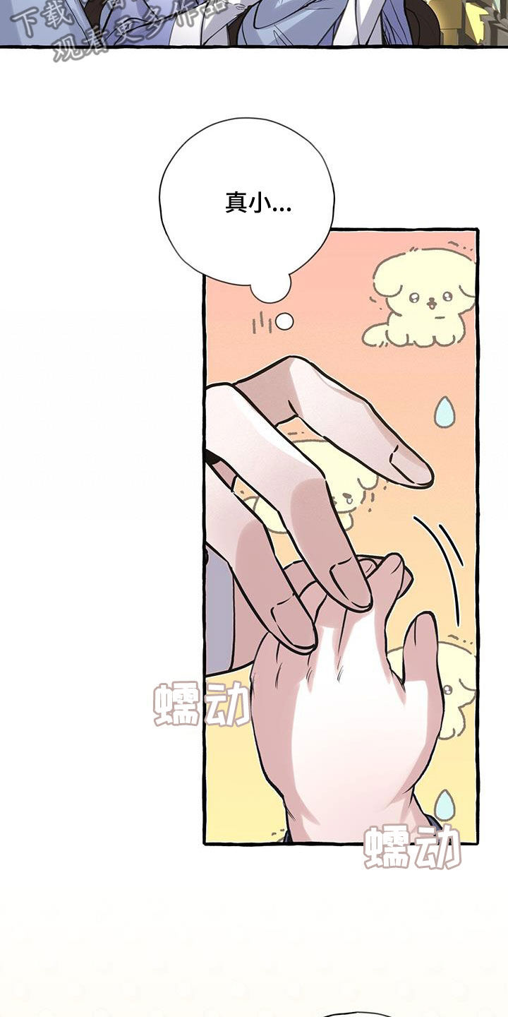 15.jpg