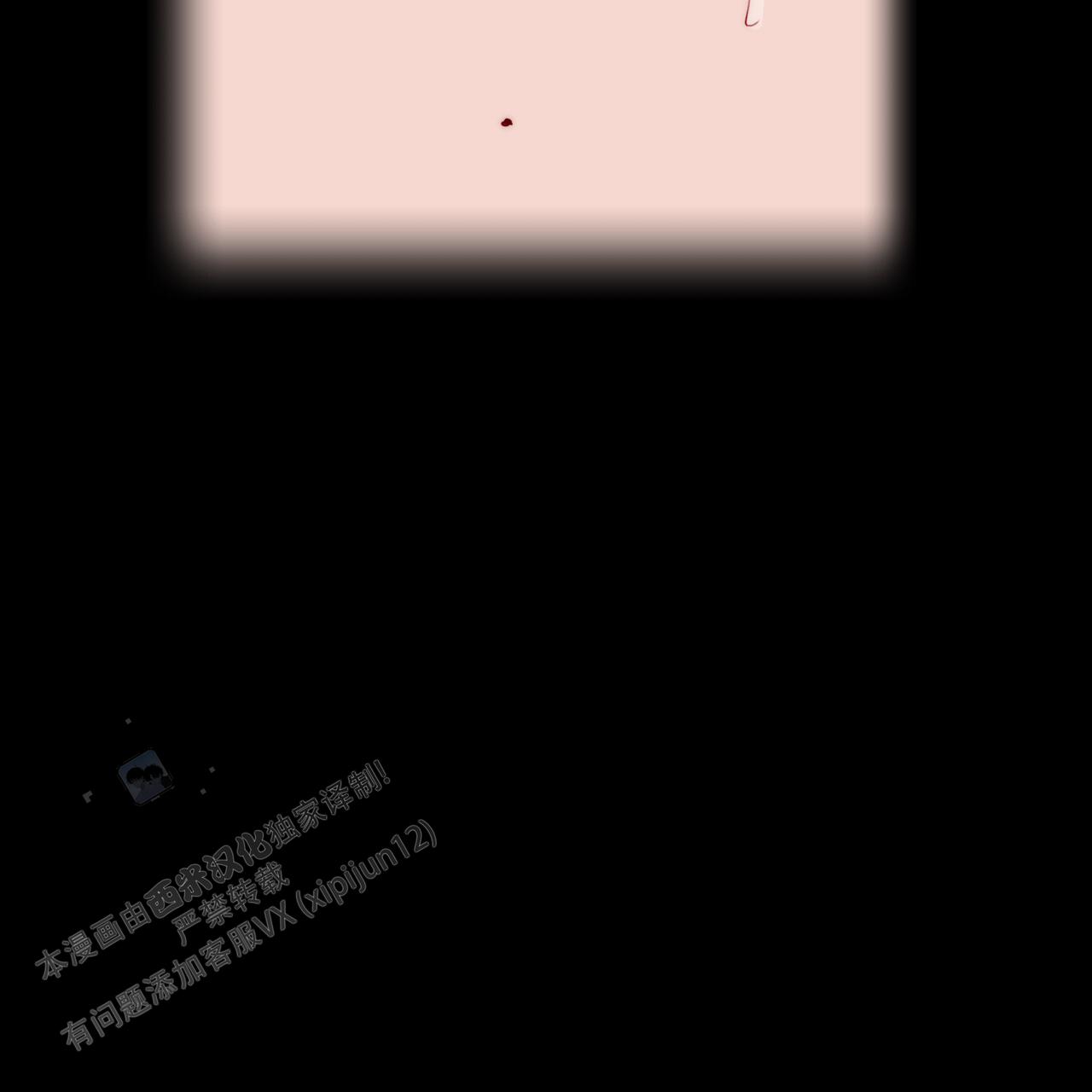46.jpg