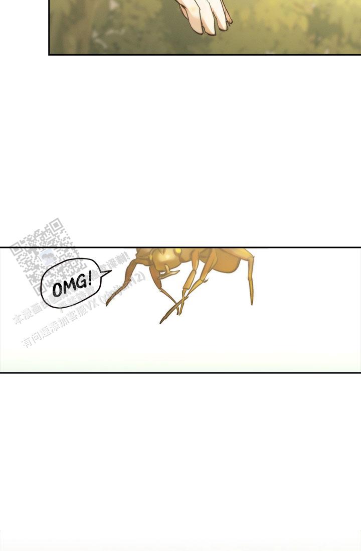 53.jpg