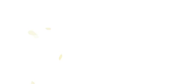64.jpg