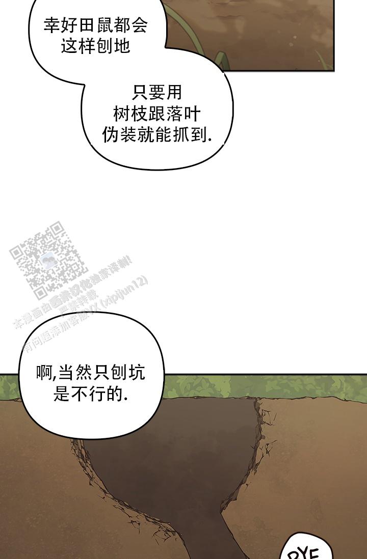 26.jpg