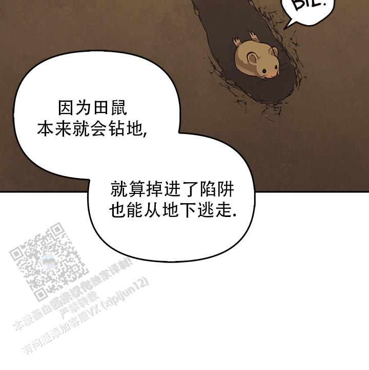 27.jpg