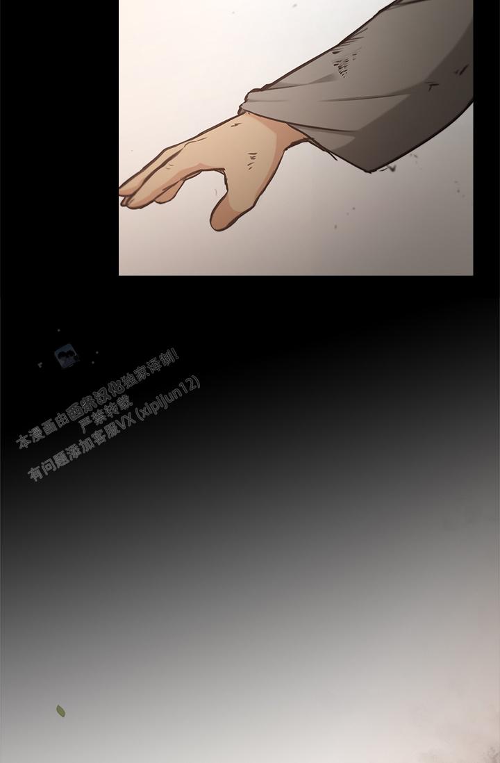 41.jpg