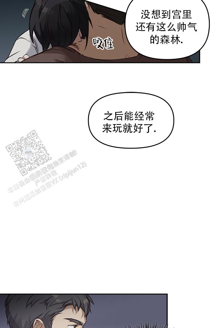 24.jpg