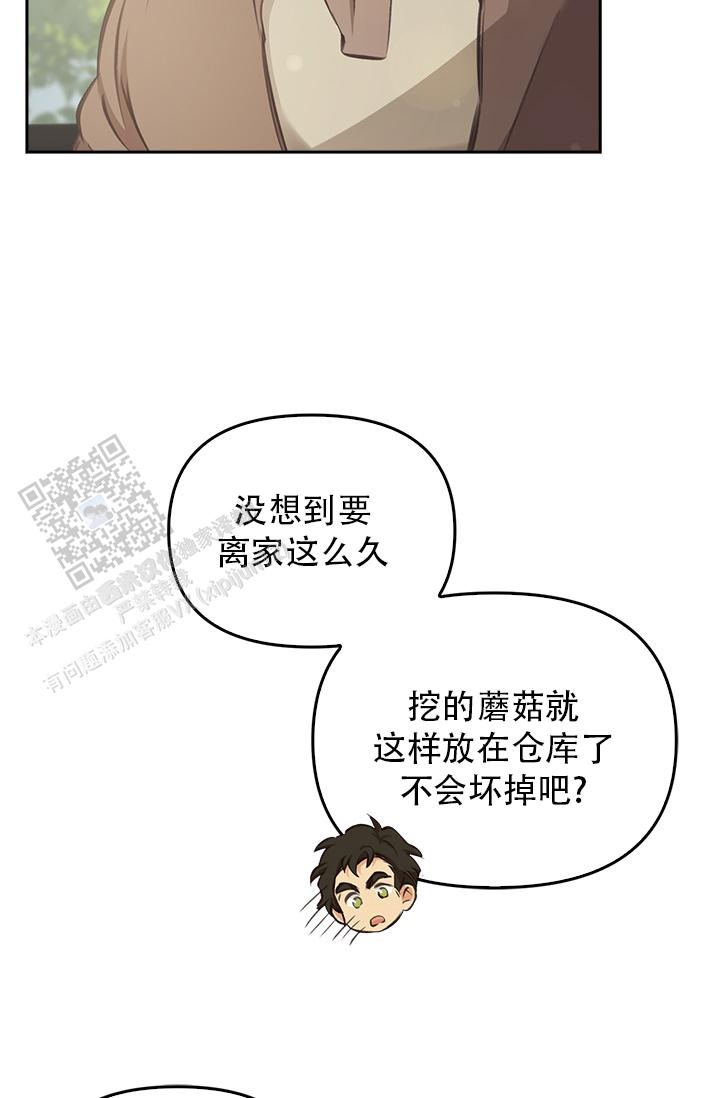 35.jpg