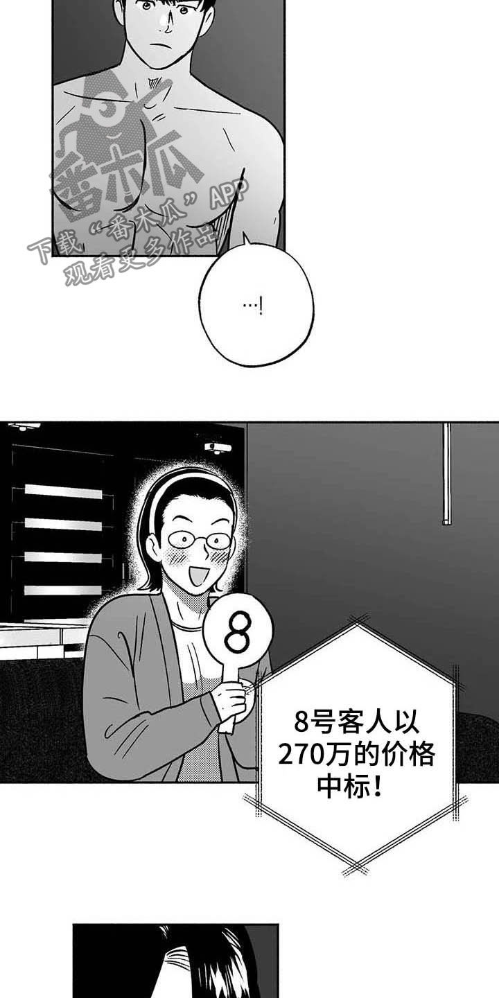 11.jpg