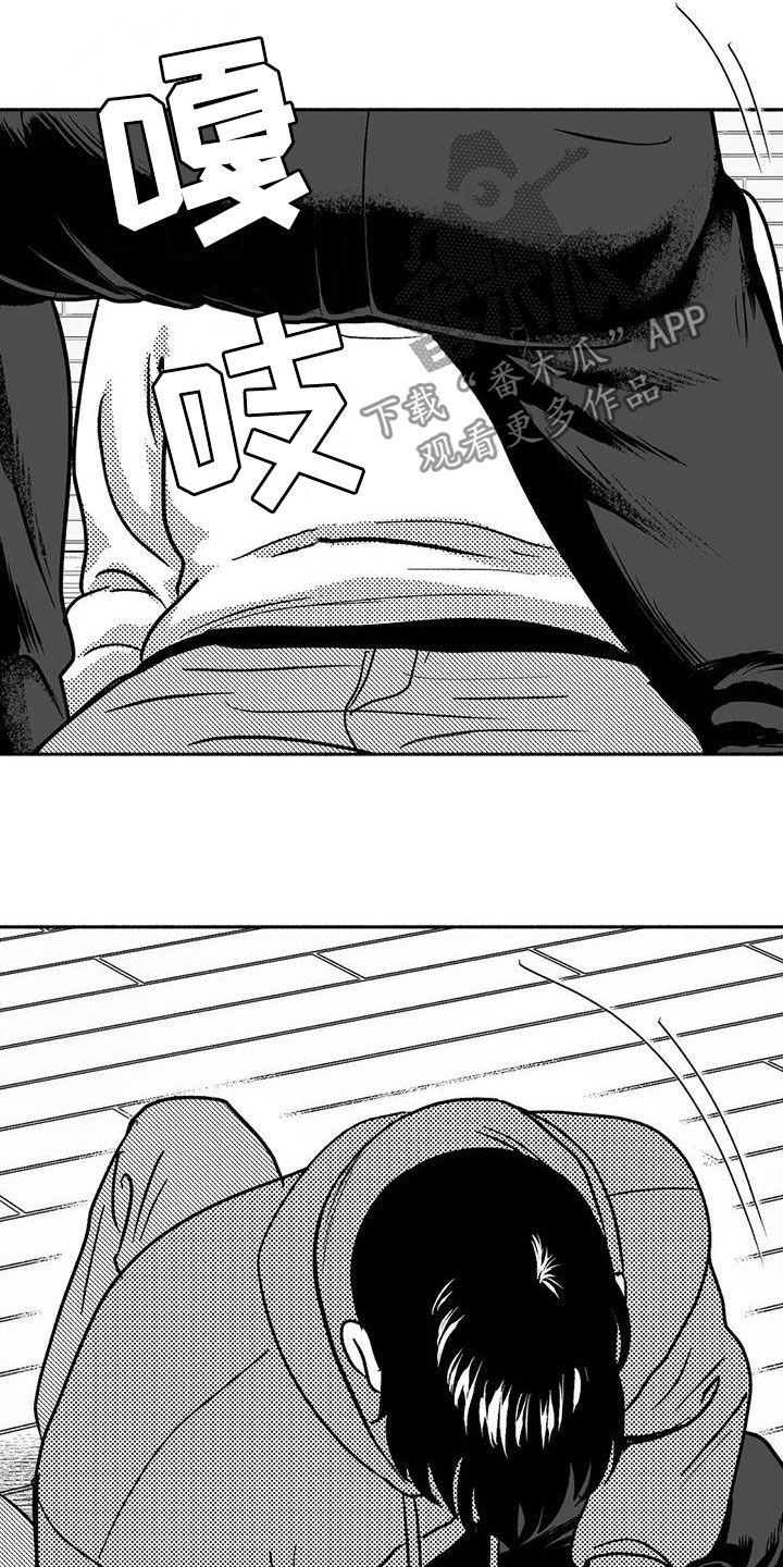 20.jpg