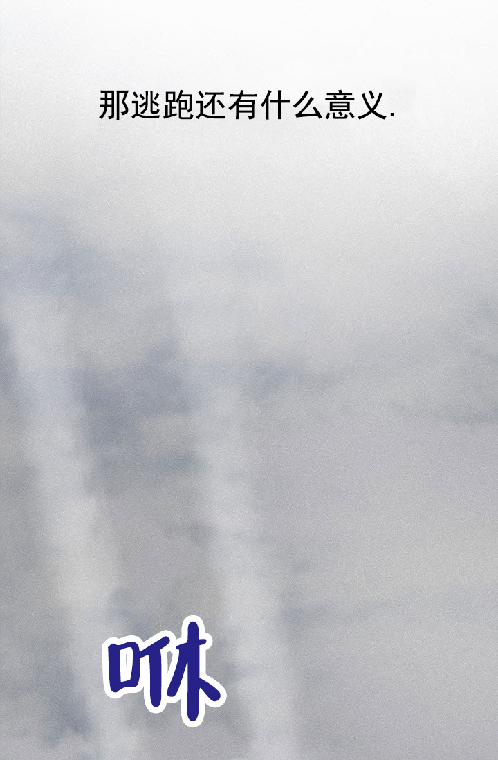 58.jpg