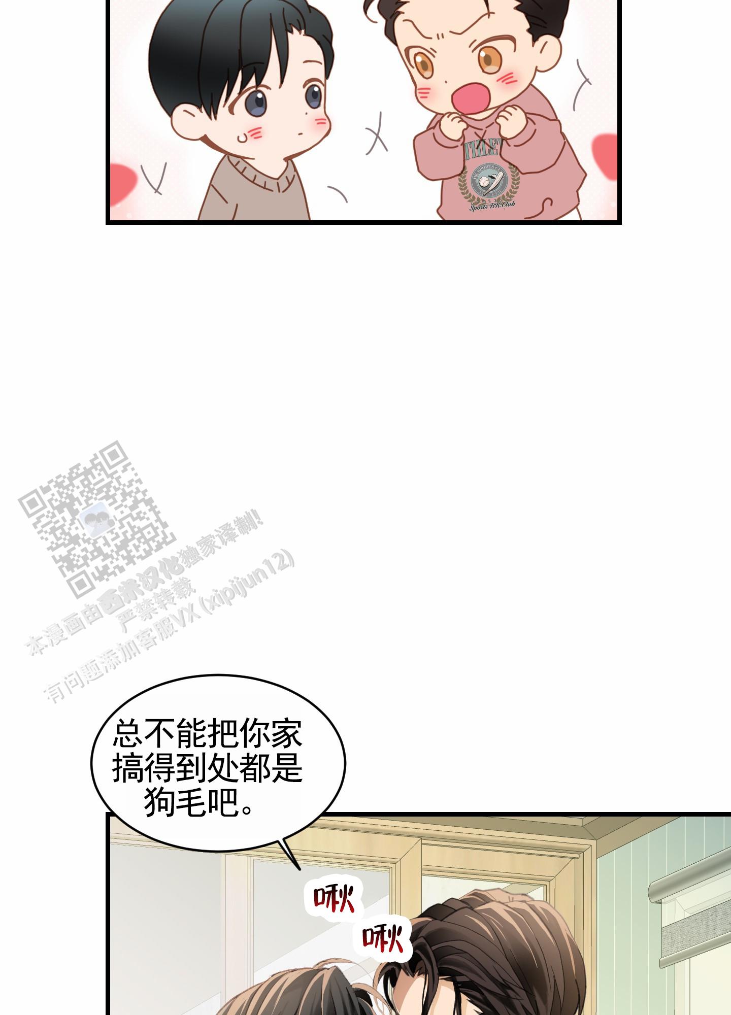 19.jpg
