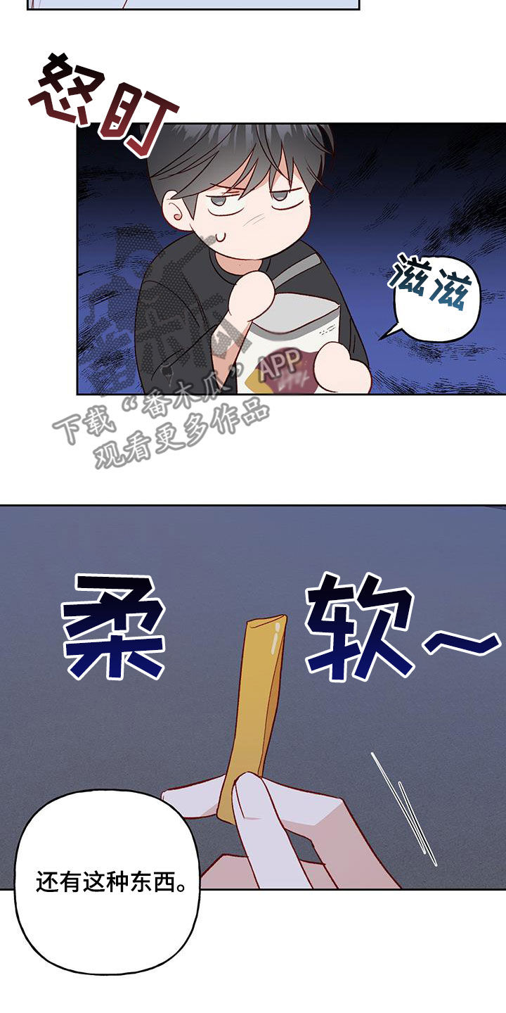 21.jpg