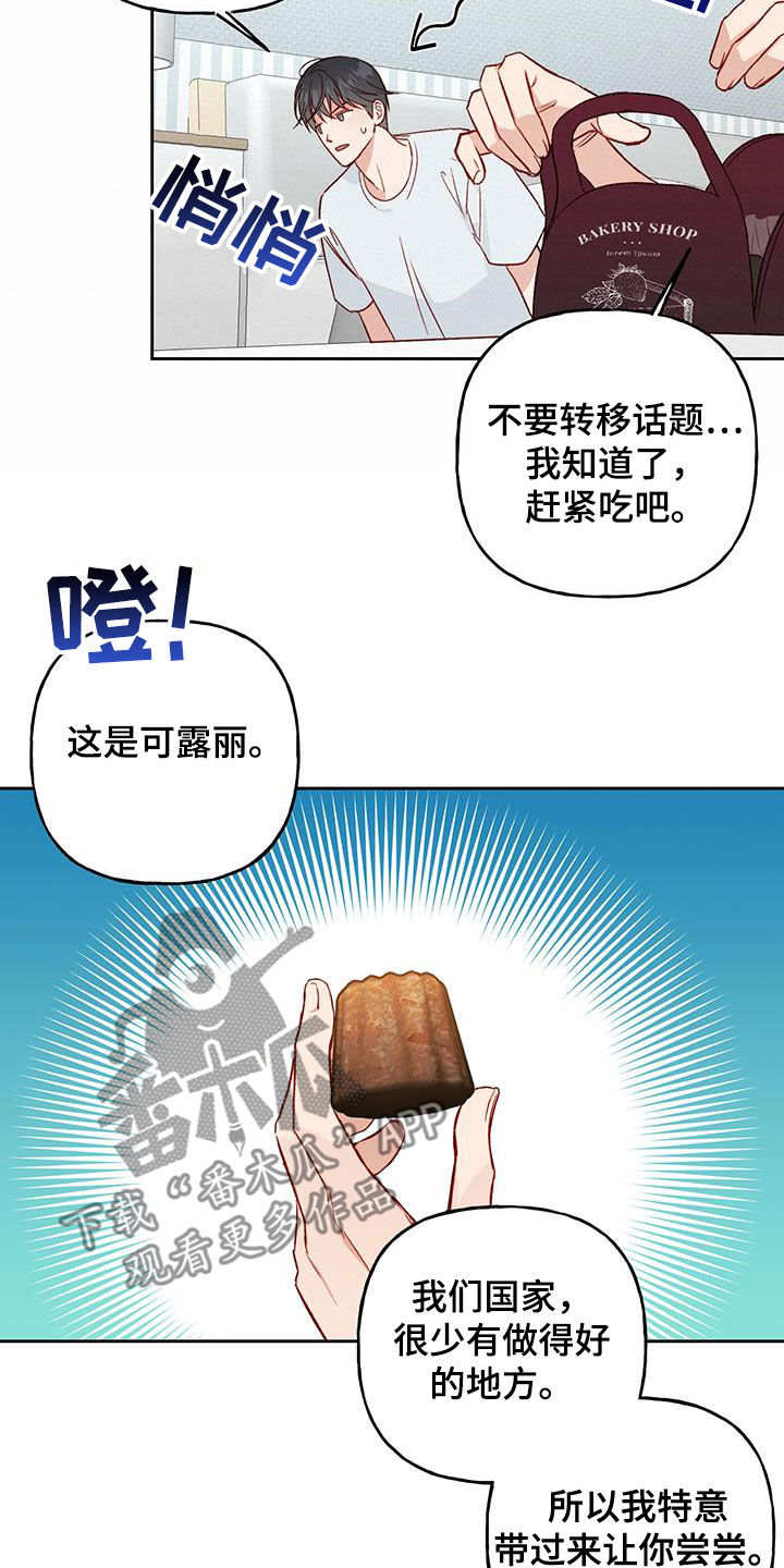 17.jpg