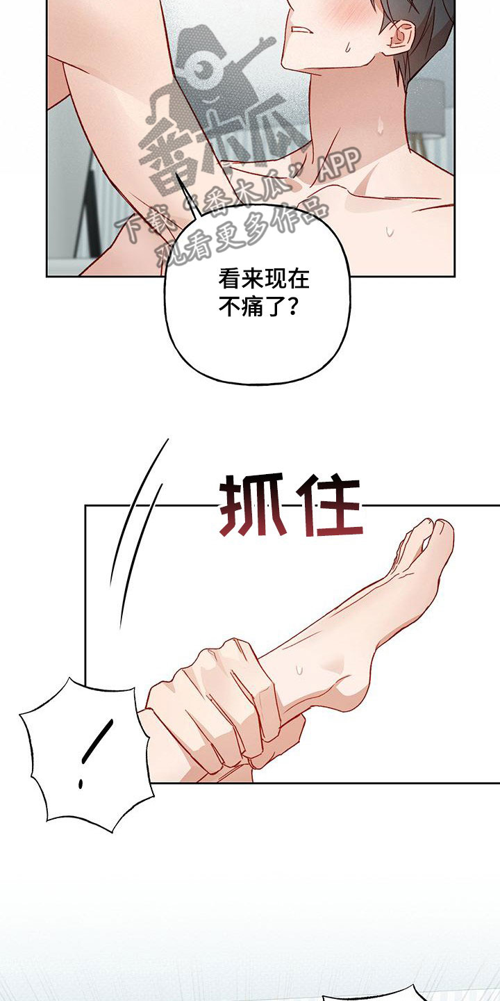 17.jpg