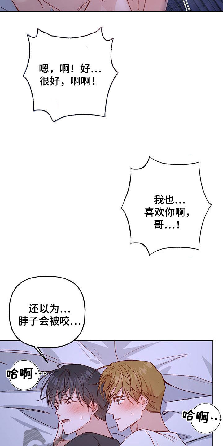 14.jpg
