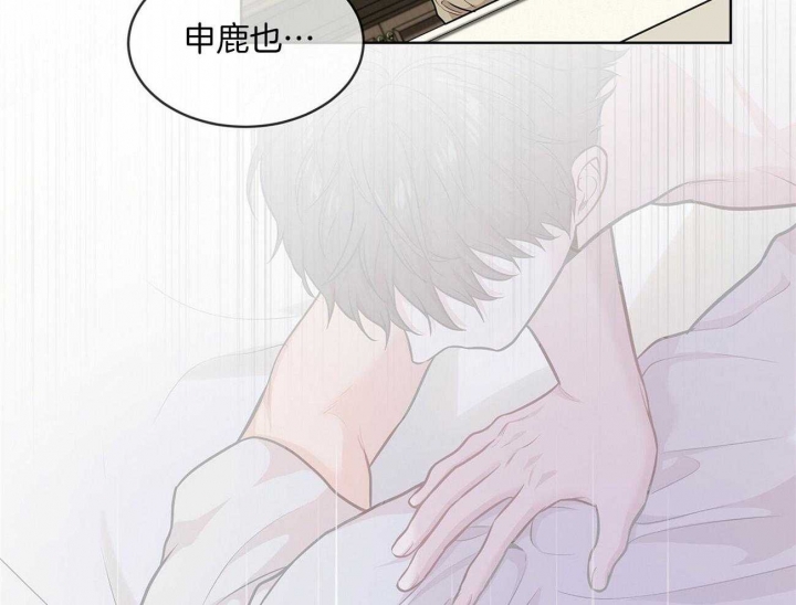 26.jpg