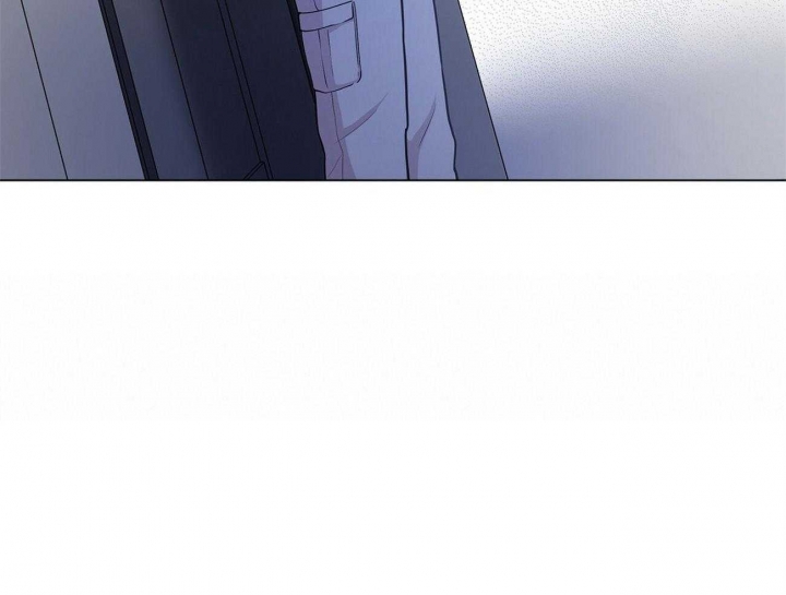95.jpg