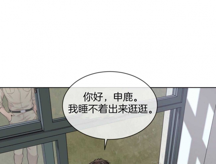 58.jpg