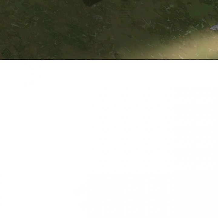 55.jpg