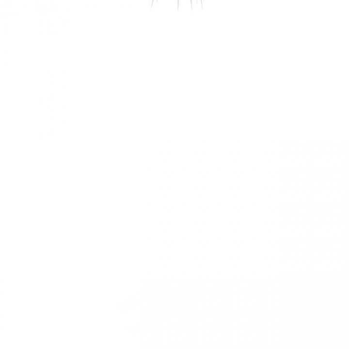 66.jpg