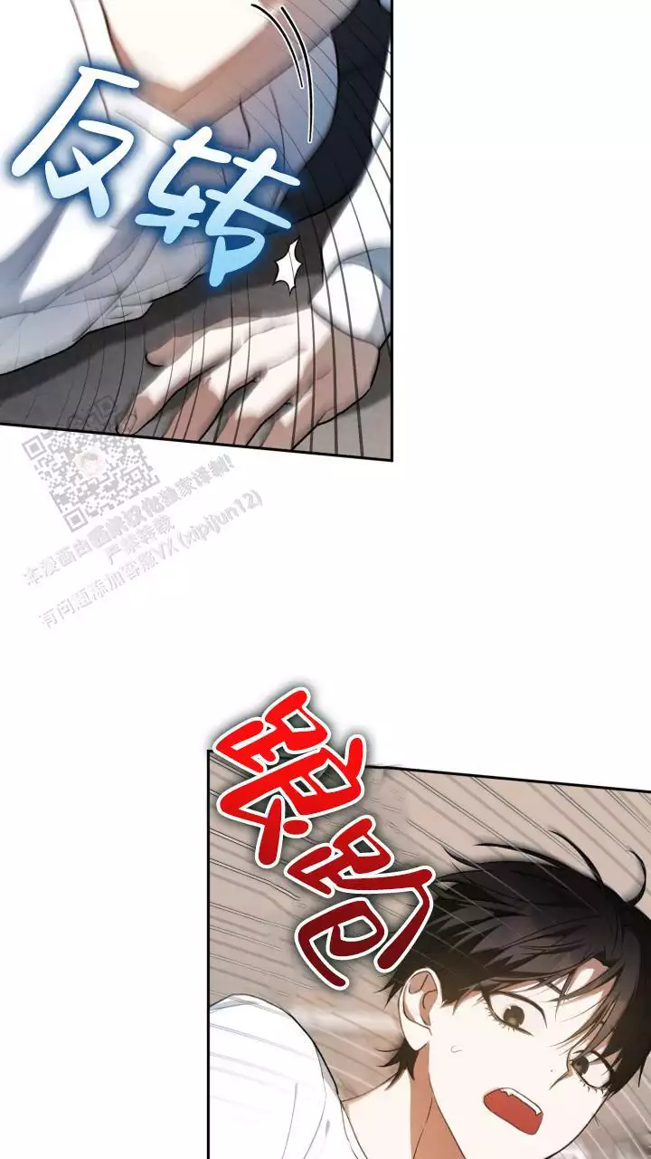 29.jpg