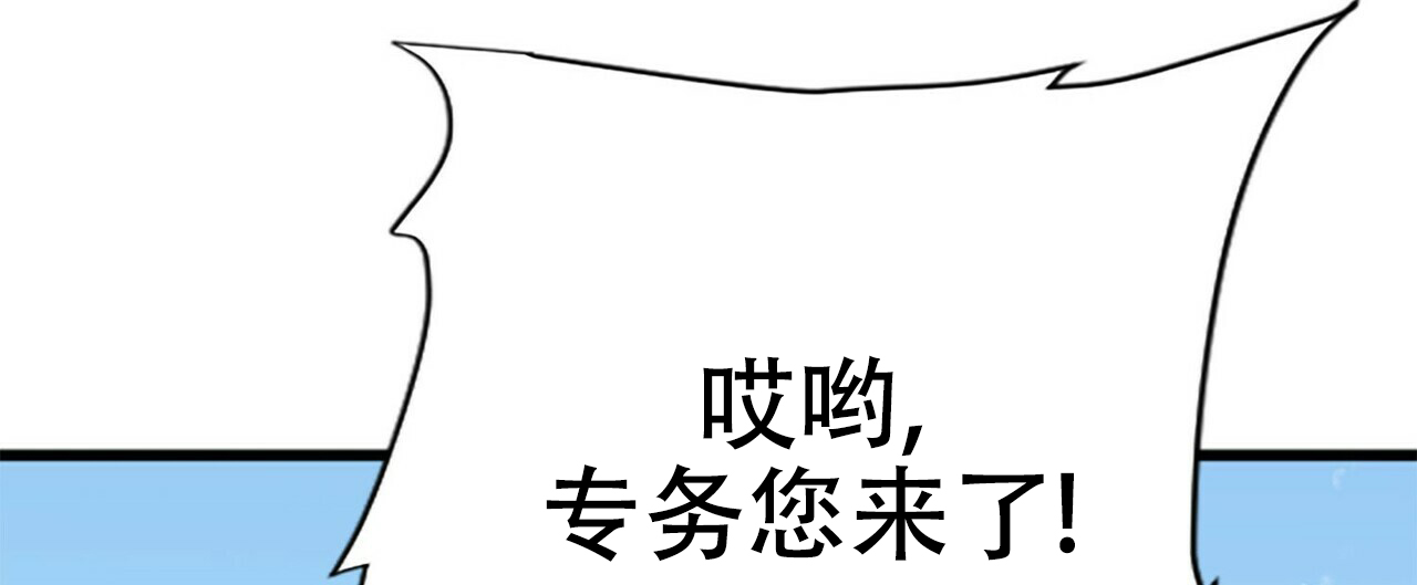 67.jpg
