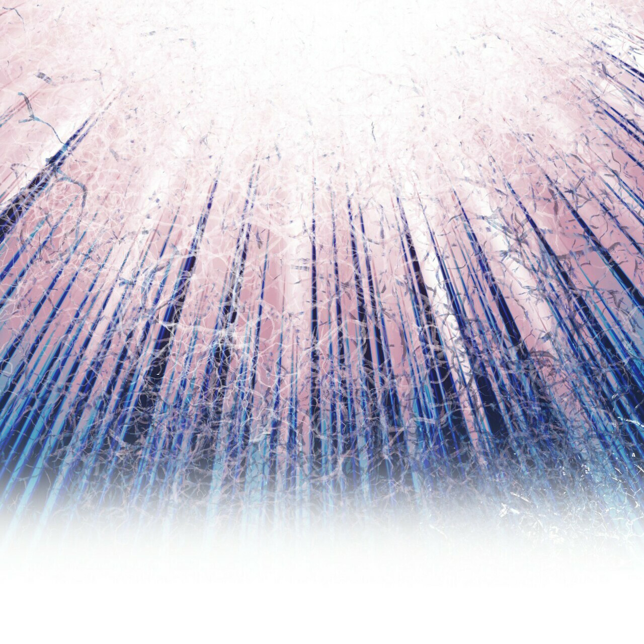 62.jpg