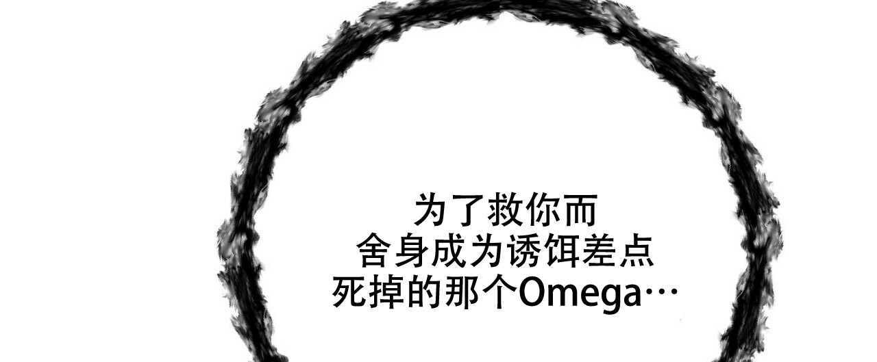 62.jpg