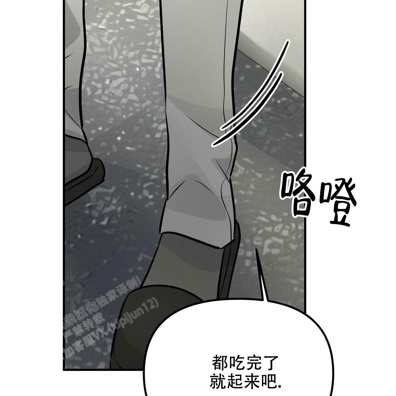 49.jpg